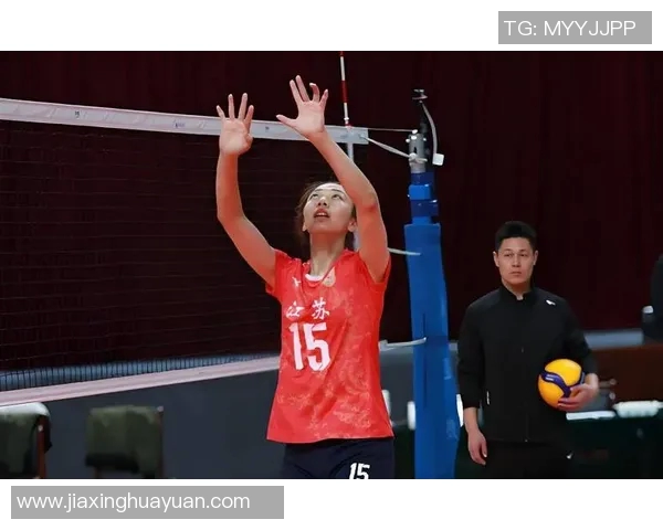 南京排球队球员表现卓越最新排球个人能力排行榜前十名揭晓