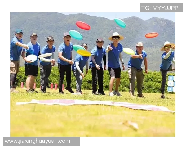 南京飞盘队战术揭秘：深度解析阵地战的技巧与策略