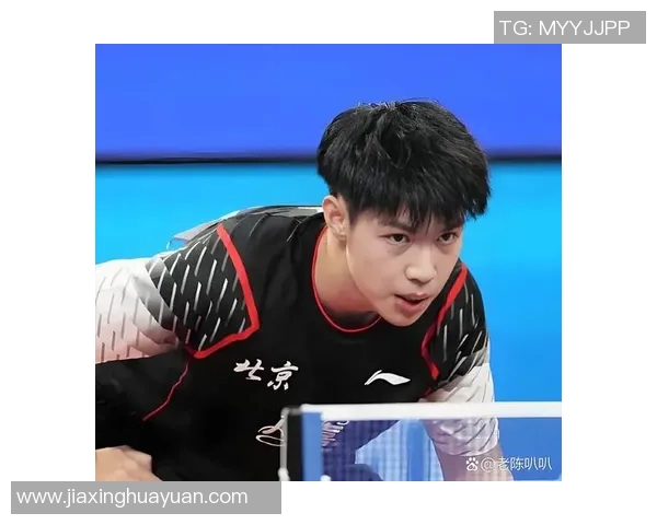 广州乒乓球队防反策略分析及其在比赛中的得失表现探讨