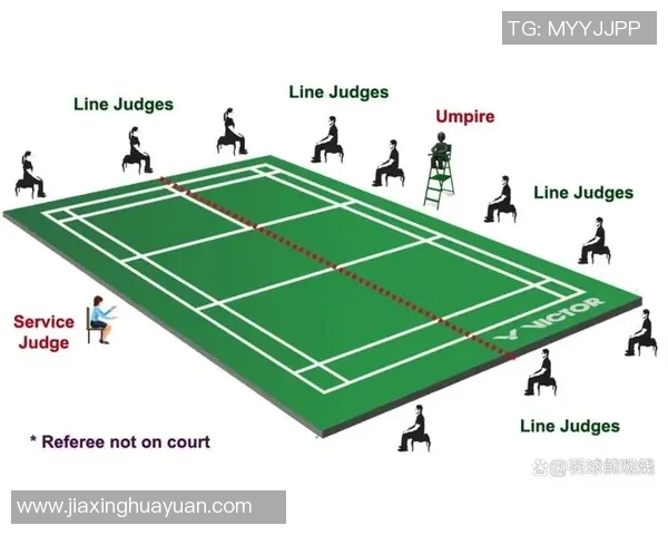 羽毛球深度探讨：揭秘杭州羽毛球队的战术控制与训练秘诀