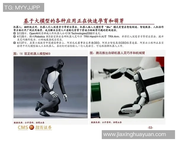 重庆攀岩队的进攻策略与训练方法深度解析 重庆攀岩队的进攻策略与训练方法深度解析