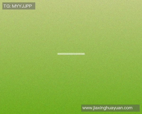 墨尔本胜利迎战新城堡队决战澳超赛场谁能笑到最后