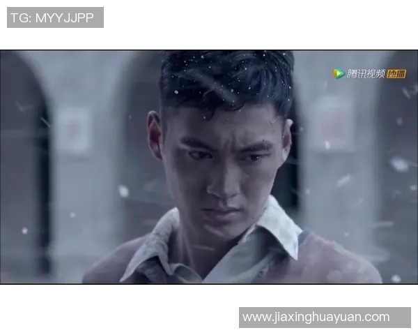 焦泊乔的成长之路：从平凡少年到行业领军人物的奋斗历程