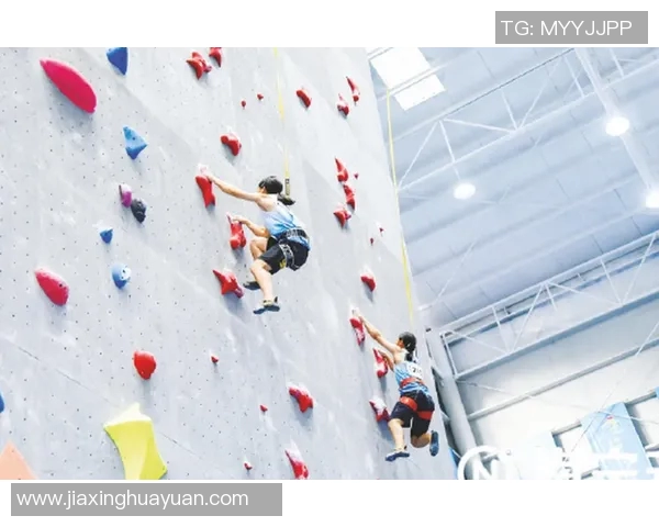 重庆攀岩队实力强劲荣获全国攀岩力量排行榜第三名