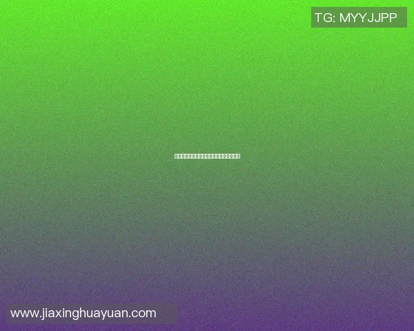 重庆飞盘队的运营揭秘与发展探索深度分析