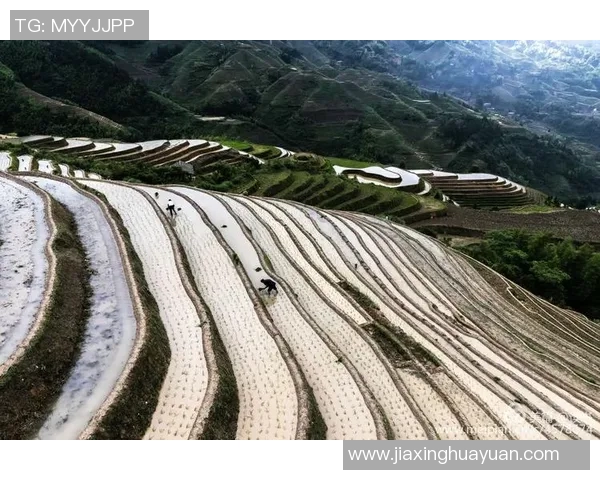 鲁本迪亚斯:从新星崛起到足坛巨星的辉煌历程与未来展望 鲁本迪亚斯:从新星崛起到足坛巨星的辉煌历程与未来展望